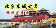 大鸡巴骚逼视频捆绑大奶子中国北京-东城古宫旅游风景区